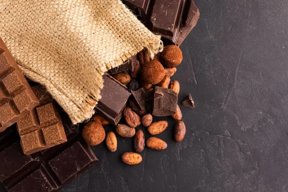 Does dark chocolate increase stem cells? the science behind this sweet superfood