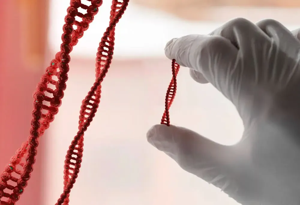 Alteraciones genéticas: ¿Cómo afecta la fertilidad y qué soluciones existen?