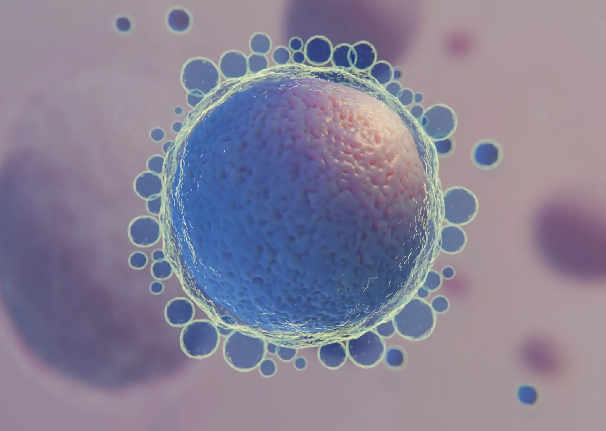 Desarrollo embrionario en etapa de mórula durante tratamiento de fertilidad en Medellín