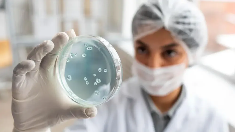 What are stem cells used for? Discover their uses and benefits