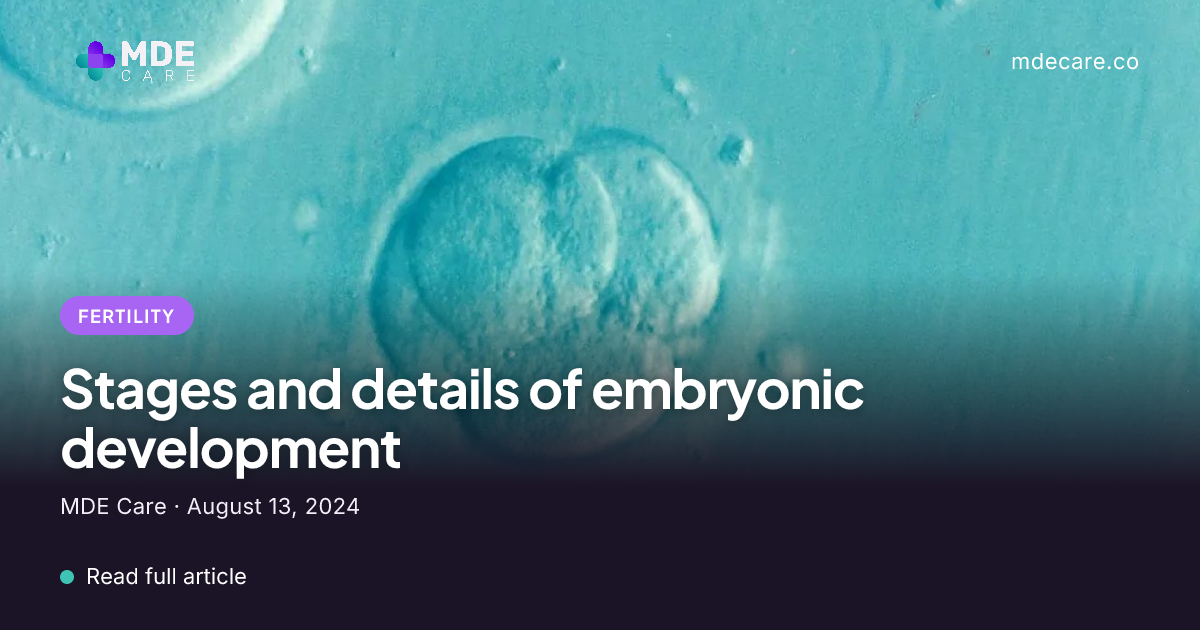 Embryonic Development: Stages and Key Details | MDE Care